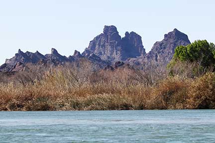 Picacho State Park from Colorado River